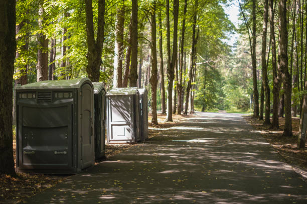 Best Porta potty rental near me  in Sault Ste Marie, MI